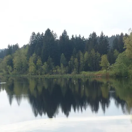 Waldsee Lindenberg im Allgäu