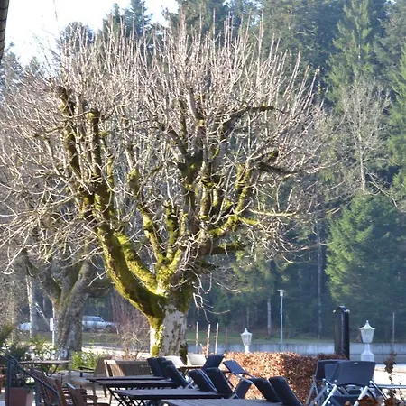 Waldsee Lindenberg im Allgäu