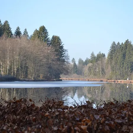 Waldsee