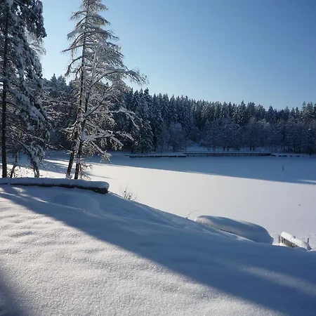 Waldsee Hotel