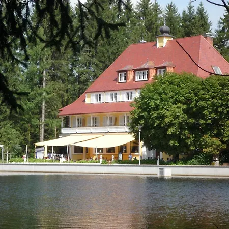 Waldsee Lindenberg im Allgäu