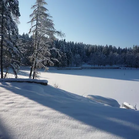 Waldsee ホテル