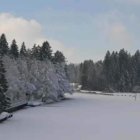 ホテル Waldsee リンデンベルク・イム・アルゴイ