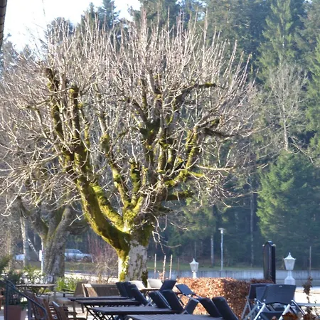 Waldsee 3* リンデンベルク・イム・アルゴイ