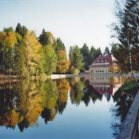 ホテル Waldsee 3*