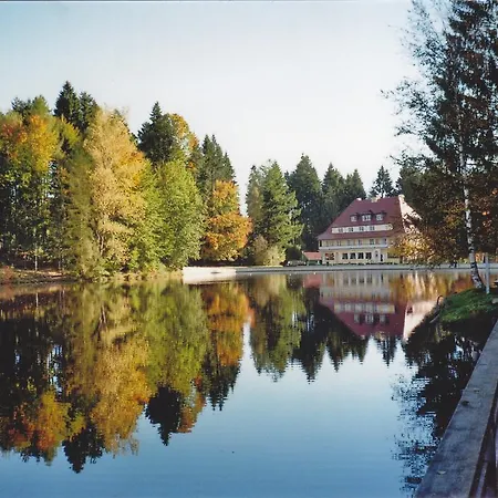 Waldsee Lindenberg im Allgäu